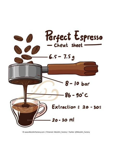 Espresso Guide, Coffee Making Process, Espresso Station, Italian Coffee Shop, Espresso Art, Espresso Making, Brand Planning, Coffee Chart, Coffee Machine Design