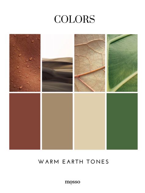 Colour Palette Earthy Tones, Terracota Pallete Color, Earthy Colours Palette, Biophilic Color Palette, Earthy Colors Palette, Earth Tones Branding, Warm Color Pallet, Earthy Aesthetic Pictures, Warm Earth Tone Color Palette