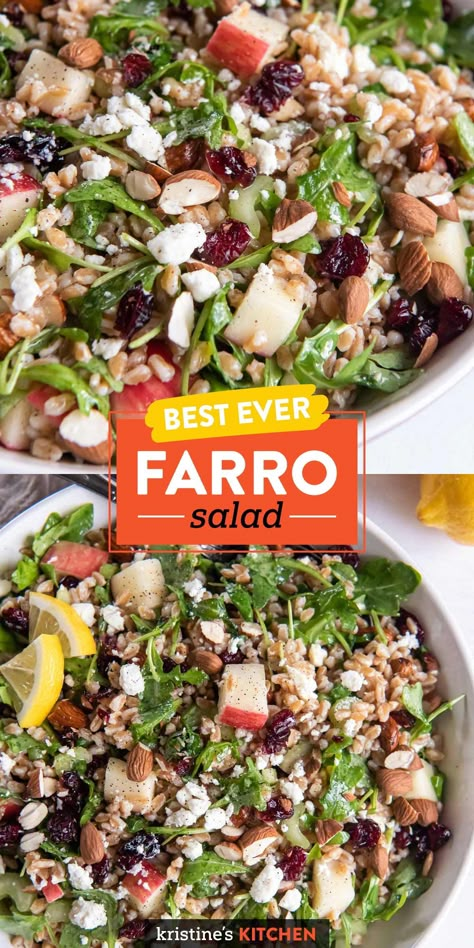 This is the best Farro Salad recipe, packed with delicious flavors and textures! With cranberries, apple, arugula and feta cheese, this healthy farro salad is perfect for lunch, dinner or a side dish. Grain Salad Recipes, Farro Salad Recipes, Farro Recipes, Creamy Feta, Farro Salad, Grain Salad, Crisp Apple, Light Dinner, Mediterranean Diet Recipes