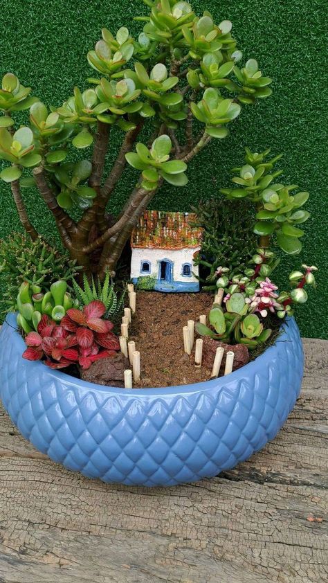 Miniature Rock Garden, Fairy Garden In A Pot, Miniature Garden Diy, Miniature Garden Design, Mini Cactus Garden, Mini Succulent Garden, Fairy Garden Pots, Indoor Fairy Gardens, Succulent Garden Design