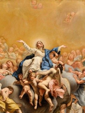 Hail Holy Queen, Assumption Of Mary, Catholic Pictures, Queen Of Heaven, Divine Mother, Blessed Mother Mary, Biblical Art, Jesus Art, Blessed Virgin