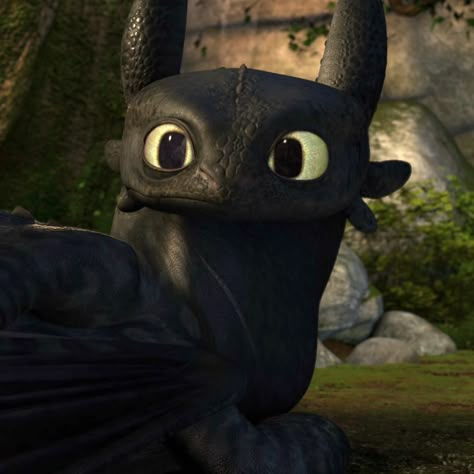 ajdjdj,,, the beautiful boy,,,,, httyd1 toothless,,,, oml i adore him . . image credit: @httyduniverse . . #howtotrainyourdragon… | Instagram Cute Toothless, Httyd Toothless, Toothless Night Fury, Night Fury Dragon, Dragon Family, Toothless Dragon, Dreamworks Dragons, Httyd Dragons, Dragon Trainer