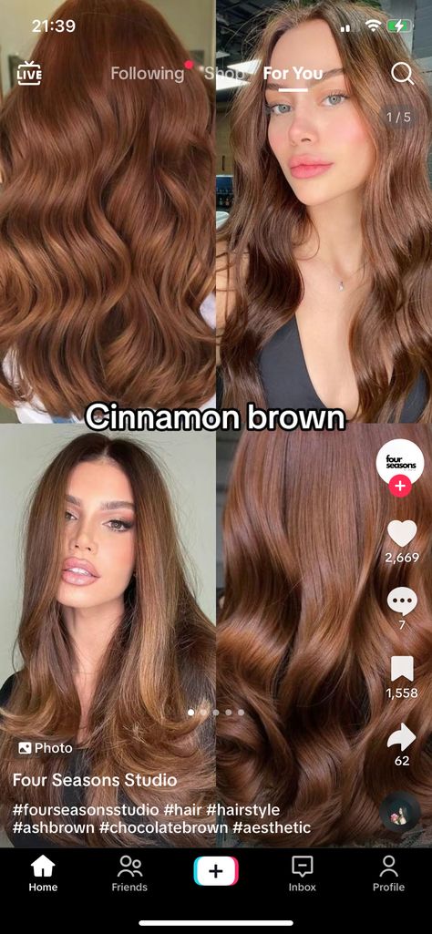 Hair Color For Warm Skin Tones, Cinnamon Brown Hair, Cinnamon Hair Colors, Copper Brown Hair, Cinnamon Hair, Brown Hair Looks, Brown Hair Inspo, Ginger Hair Color, Caramel Hair