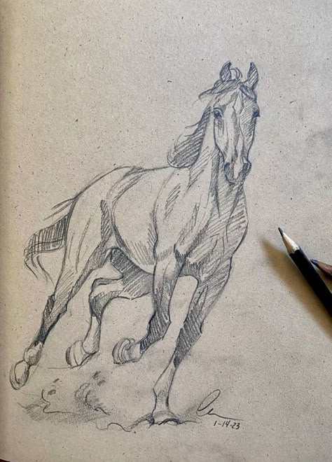 Horse Sketches, Horse Art Drawing, Horse Sketch, Animal Drawings Sketches, Drawing Faces, Horse Drawings, Horse Drawing, Animal Drawing, Art Drawings Sketches Creative