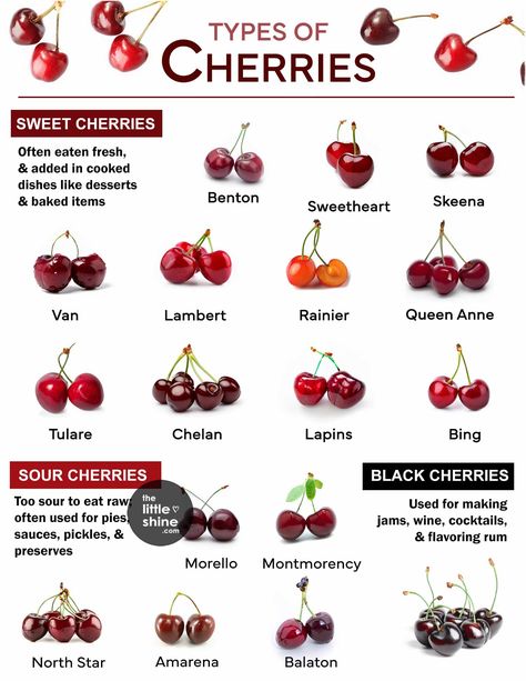 Did you know that there are different types of cherries out there? Most are red, some are black and some are even yellowish-red in color. They range from sweet to sour, let’s talk about the different types of cherries you can find in the market. 17 Types of Cherry and Uses / Benefits 1. Van … Forest Survival, Types Of Cherries, Fruits And Vegetables List, Fruits Name, Farm Orchard, Cherry Theme, Science Tips, High Fiber Fruits, Fiber Fruits