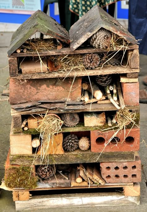 Bug Houses, Bug Hotels, Bug House, Bug Hotel, Insect Hotel, Garden Bugs, Sensory Garden, Kids Garden, Wildlife Gardening