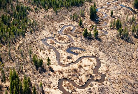 Tar-sands trouble in Northern Alberta Tar Sands, Fort Mcmurray, Environmental Issues, The Road, Fort, Amber, Map