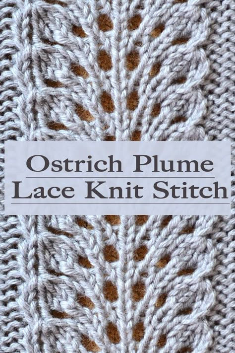 Lacey Knit Stitches, 4 Row Knitting Patterns, Simple Lace Knitting Patterns, Knitting Lace Patterns Free Charts, Knit Lace Pattern Free, Free Lace Knitting Patterns, Knit Lace Stitches, Knit Lace Pattern, Knit Stitch Patterns Free