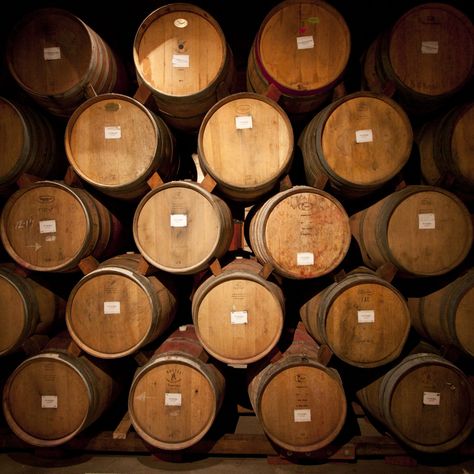 If you ever find yourselves needing to store 300,000 liters of wine in one location, look no further than Château Puech Haut in France's Languedoc reg... Wine Course, Virginia Wineries, Coffee With Alcohol, The Oregon Trail, Wine Merchant, Wine Expert, Cheap Wine, Oak Barrel, Wine Clubs