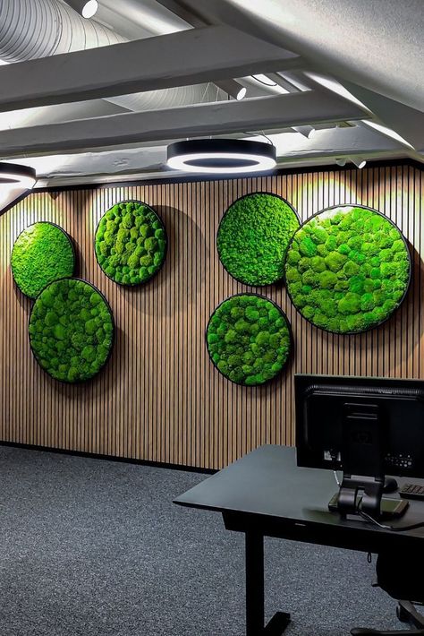 These stunning plant and moss circles provide high-level acoustic absorbance along with the benefits of biophilic design. Use these design pieces not only as highly attractive green features your space, office or commercial establishment, but also as certified noise reduction systems. They are 100% maintenance-free, and durably preserved to last, meaning these plants don't require light or water to retain their vividly green appearance, and fresh, soft feel. Green Office Walls, Moss Design, Green Wall Design, Forest Homes, Beautiful Terrariums, History Wall, 3d Environment, Green Office, Moss Wall Art