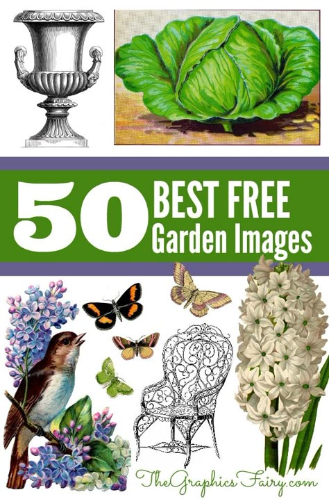 50 Favorite Gardening Images great for making your own Printables and Crafts! Graphic Fairy, Garden Clipart, Etiquette Vintage, Vintage Gardening, The Graphics Fairy, Free Vintage Printables, Garden Images, Graphics Fairy, Diy Craft Tutorials