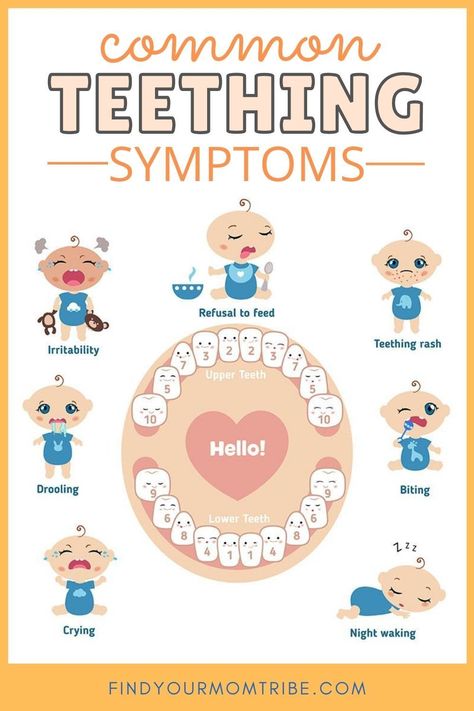 Sick Baby Remedies, Baby Teething Remedies, Baby Remedies, Teething Symptoms, Kedokteran Gigi, Teething Babies, Teething Remedies, Natural Teething Remedies, Baby Routine