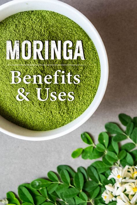 The ALL-in-ONE Ayurvedic Wonder: Moringa!  / The Ayurveda Experience Health Benefits Of Moringa, Wild Diet, Moringa Recipes, Moringa Capsules, Benefits Of Moringa, The Ayurveda Experience, Moringa Benefits, Moringa Tree, Miracle Tree