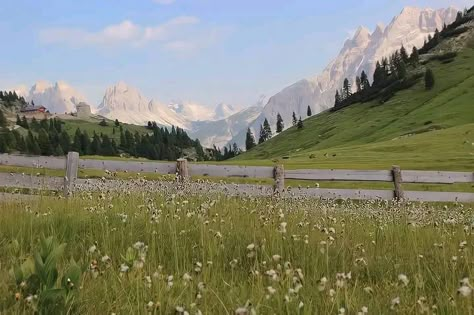 tags* #nature #spring #flowers #mountains #field #aesthetic Nature Desktop, Field Wallpaper, Mountain Background, Wallpaper Hp, Adorable Pictures, Ipad Wallpapers, Landscape Background, Spring Wallpaper, Wallpaper Ipad