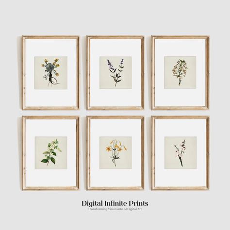 Set of 6 Prints, Vintage Botanical Wall Art Gallery Set, Floral Wall Art Prints, Minimalist Plant Illustrations | GAL17 Floral Gallery Wall, Plant Illustrations, Floral Wall Art Prints, Gallery Prints, Flower Illustrations, Botanical Print Set, Prints Vintage, Digital Download Art, Vintage Botanical Prints