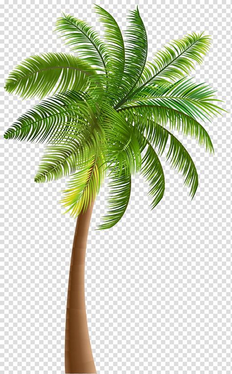 Coconut Tree Drawing, Palm Tree Clip Art, Palm Tree Images, Design Quotes Art, Palm Tree Png, Tree Photoshop, Product Background, Plant Texture, Product Stand