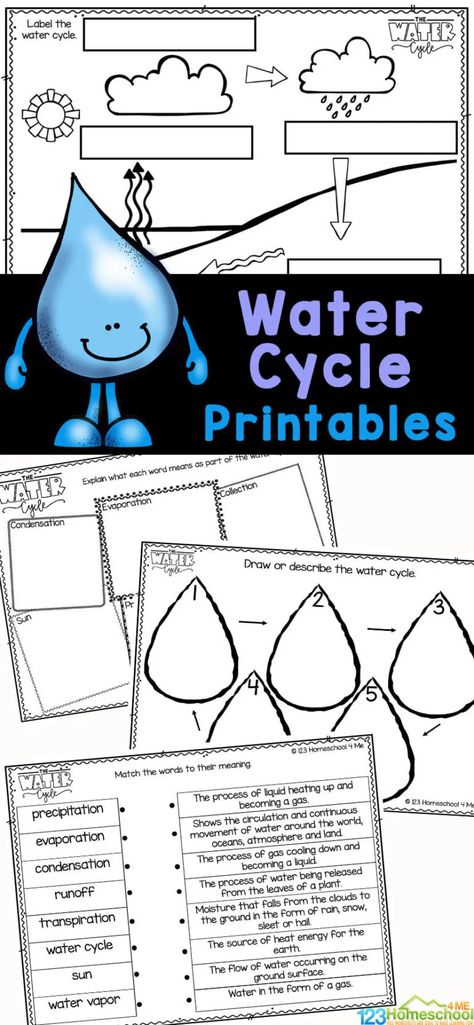 Water Cycle For Kids, Hibernation Preschool Activities, Water Cycle Experiment, Clouds For Kids, Water Cycle Project, Plant Life Cycle Worksheet, Water Cycle Diagram, Water Cycle Activities, Water Cycle Worksheet