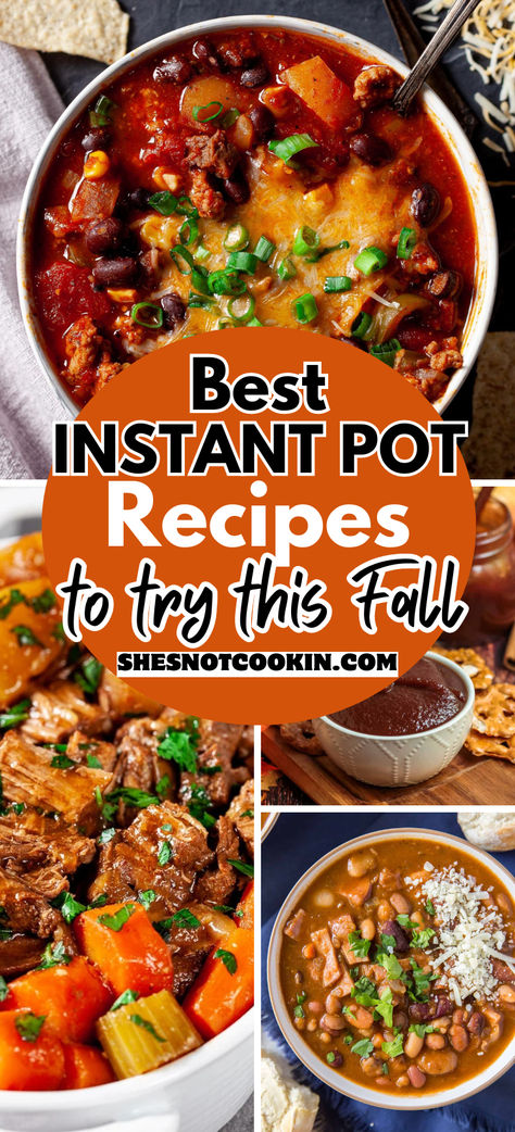 Best instant pot recipes photo collage with text overlay. Good Instapot Recipes, Rainy Day Instant Pot Recipes, Amazing Instant Pot Recipes, Instant Pot Fall Dinner Recipes, Fall Dinner Recipes Easy Instant Pot, Instapot Stew Recipe, Healthy Instant Pot Recipes Beef, Instant Pot Hearty Meals, 4 Ingredient Instant Pot Recipes