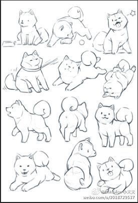 Chibi With Pet Pose, Shiba Drawing Cute, How To Draw Shiba Dog, Puppy Reference Drawing, Small Dog Drawing Reference, Pet Drawing Reference, Pet Sketch Drawings, How To Draw A Cute Animal, Dogs Drawing Reference