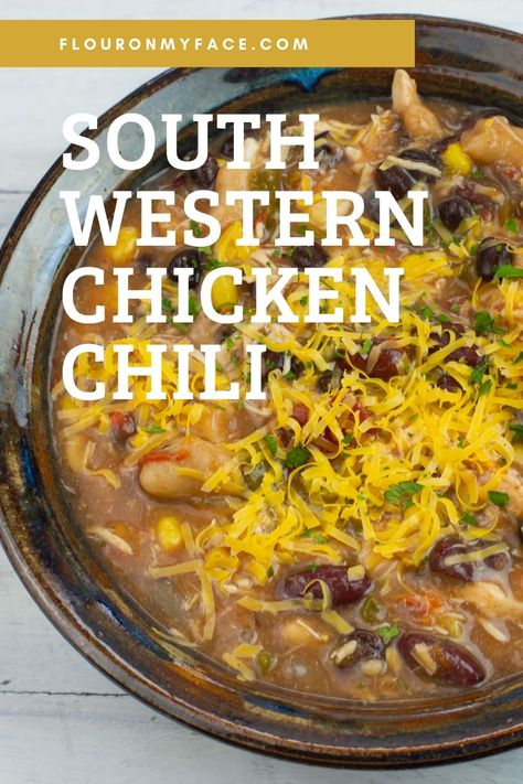 South Western Chicken Chili Recipe South Western Chicken, Chili Seasonings, Crockpot Chicken Chili, Meals For Busy Moms, Dehydrating Recipes, Instant Pot Freezer Meals, Instant Pot Freezer, Southwestern Chicken, Chicken Chili Crockpot