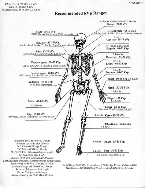 kVp/MAS ranges...pin this first to  check later if they are close to the current standard ranges. Xray Positioning, Xray School, Rad Tech Humor, Radiography Student, Rad Tech Student, Radiology Schools, Xray Humor, Medical Radiography, Radiology Humor