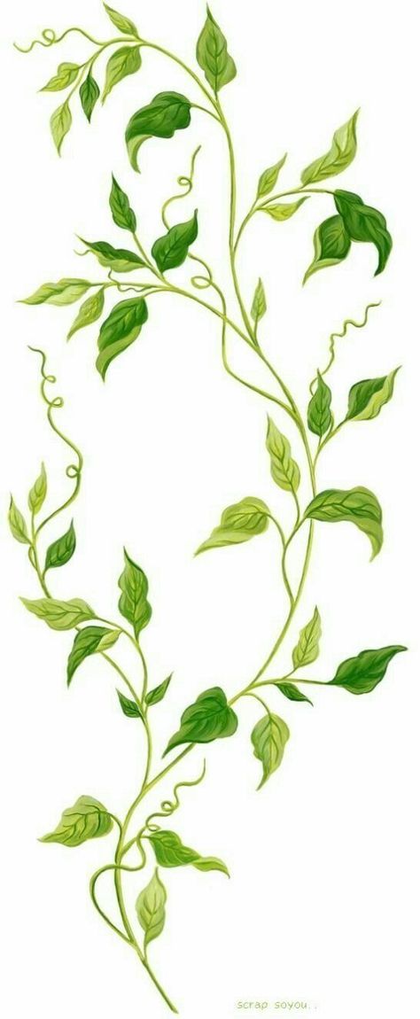 Artsy Drawings Aesthetic, Drawing Vines, Artsy Drawings, Vine Drawing, Leaves Drawing, Leaves Sketch, Ivy Plants, Vine Leaves, Leaf Drawing