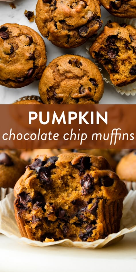 Pumpkin Chocolate Chip Muffin Recipe, Pumpkin Muffin Recipes, Pumpkin Chocolate Chip Muffins, Fall Baking Recipes, Pumpkin Chocolate Chip, Pumpkin Recipes Dessert, Fall Foods, Pumpkin Chocolate Chips, Chocolate Chip Muffins