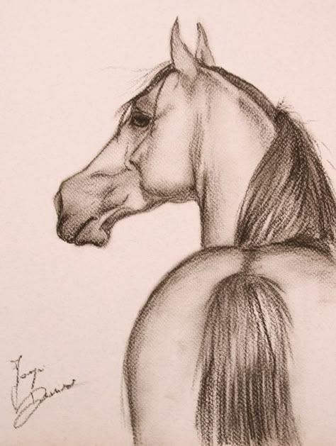 Drawing Horses, Horse Art Drawing, Drawing Realistic, Horse Sketch, Animals Drawing, Realistic Drawing, Charcoal Pencil, Pencil Drawings Easy, Drawing Animals