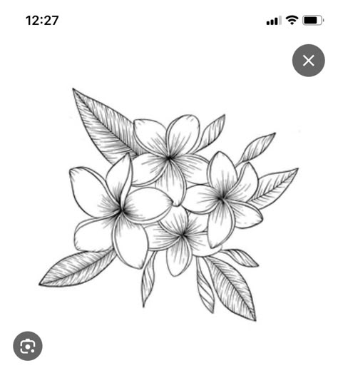 Hawaiian Flower Sketch, Tiare Flower Drawing, Plumeria Tattoos For Women, Guam Drawings, Plumeria Line Art, Frangipani Flower Drawing, Fine Line Frangipani Tattoo, Frangipani Flower Tattoo, Plumeria Flowers Tattoo