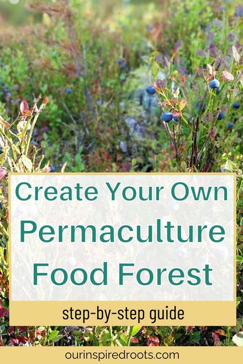 on image text - create your own permaculture food forest - step by step guide Zone 7 Food Forest, Food Forest Garden Permaculture Design, Permaculture Food Forest Design, Permaculture Garden Design Layout, Forest Garden Backyards, Permaculture Layout, Forest Garden Ideas, Pioneer Lifestyle, Backyard Food Forest