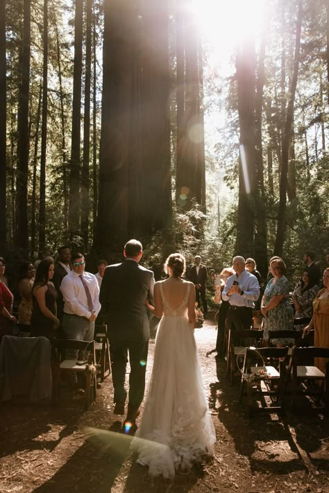 Intimate forest wedding in Santa Cruz by elopement photographer Paige Nelson, with ceremony in Henry Cowell Redwoods State Park near Felton and family style meal at Ristorante Casa Nostra in Ben Lomond. Intimate Forest Wedding Ceremony, California Redwoods Wedding, Redwoods Wedding California, Forest Wedding Elopement, Henry Cowell Redwoods State Park, Micro Wedding Inspiration, Forest Elopement Dress, Forest Micro Wedding, Forest Elopement Ceremony