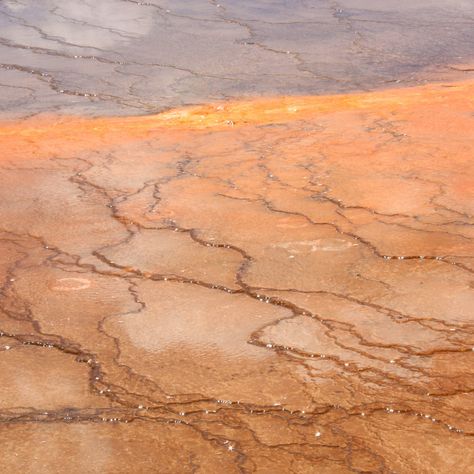 Photos from Grand Prismatic Spring. Hot spring located in Yellowstone National Park, Wyoming. Grand Prismatic Spring, Grand Prismatic, Hot Spring, Heritage Collection, Yellowstone National, Yellowstone National Park, Hot Springs, Wyoming, National Park