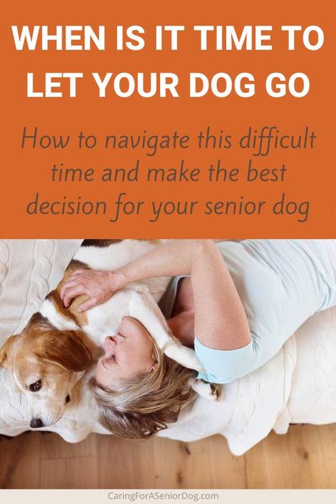 When Is It Time to Let Your Dog Go - Caring for a Senior Dog Senior Dogs Care, Losing Your Best Friend, It's Time To Say Goodbye, When To Let Go, Difficult Decisions, Love Your Pet, Older Dogs, Dog Care Tips, To Say Goodbye