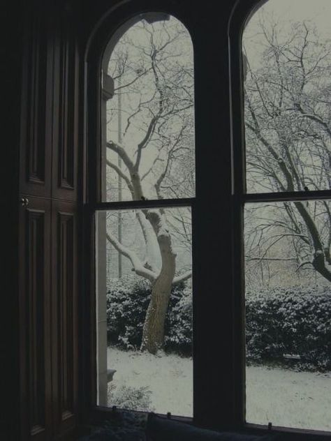 snowy cold dark academia gloomy winter autumn aesthetic Dark Academia Winter, The Secret History Aesthetic, Henry Winter, Aesthetic Dark Academia, Dark Christmas, Dark Winter, Remus Lupin, Dark Academia Aesthetic, Aesthetic Dark