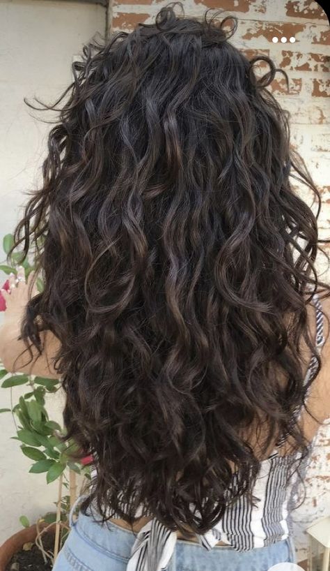 Brunette Hair Inspiration, Wavy Hair 2b, Brunette Curly Hair, Long Curly Haircuts, Black Wavy Hair, Natural Curly Hair Cuts, Medium Brown Hair, Hair 2024, Haircuts For Wavy Hair