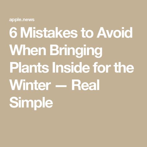 6 Mistakes to Avoid When Bringing Plants Inside for the Winter — Real Simple Bringing In Plants For Winter, How To Bring Outdoor Plants Inside, Winter Indoor Plant Setup, Bringing Plants Inside For Winter, Nantucket Garden, Nantucket Gardens, Indoor Plant Ideas, Gardening Hacks, Plant Ideas