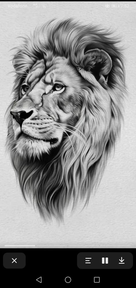 Realism Lion Tattoo Design, Lion Realism Tattoo, Lion Tattoo Drawing Sketches, Roaring Lion Tattoos For Men, Lion Design Tattoo, Lion Drawing Tattoo, Lion Tattoo Design Stencil, Lion Sketch Tattoo, Realistic Lion Tattoo Design