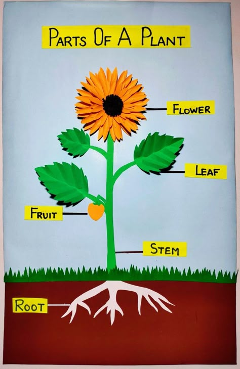 Watch the video for step by step guide Kindergarden Activities Science, Plants For Kindergarten Activities, Teaching About Plants, Parts Of Plants Project For Kids, Plants Projects For Kids, Part Of Plants For Kids, Parts Of The Plants For Kids, Plants Theme Preschool, School Charts Ideas Classroom