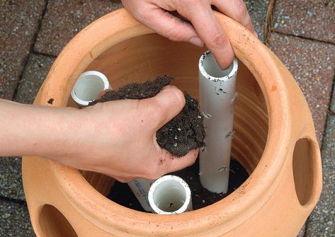 What To Plant In Strawberry Pots, Strawberry Jar Planter Ideas, Strawberry Pot Ideas, Strawberry Pots Ideas Plants, Self Watering Planter Diy, Strawberry Planters Diy, Dirt Therapy, Diy Self Watering Planter, Diy Self Watering