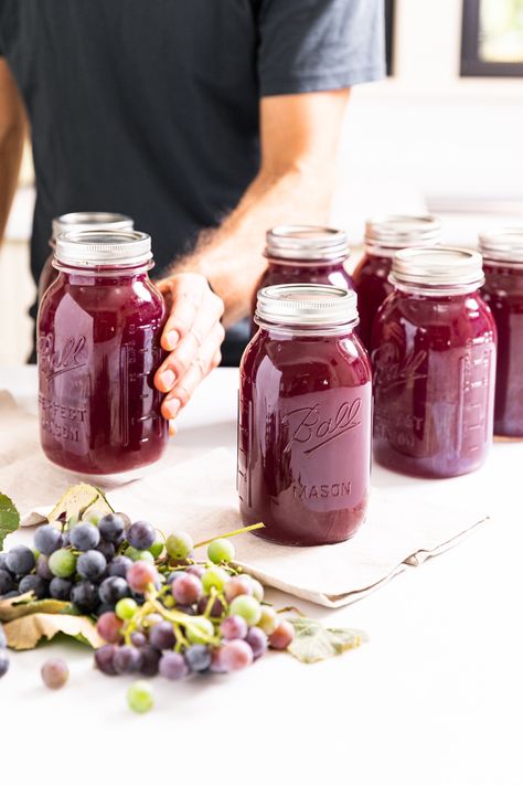 Homemade Grape Juice, Kaleb Wyse, Concord Grapes, Wyse Guide, Grape Recipes, Juice Concentrate, Grape Bunch, Grape Juice, Old Farm