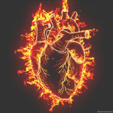 Fogo Gif, Fire Of Love, Heart On Fire, Heart Gif, Virgo And Aquarius, Heart Drawing, Bon Weekend, Dear Future Husband, Human Heart