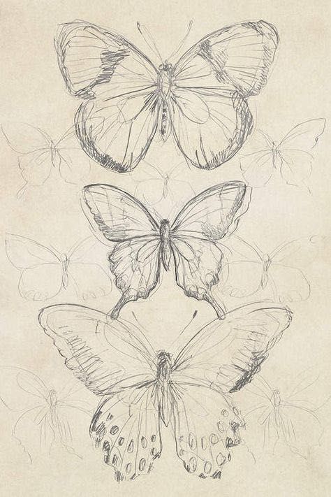 Butterfly Sketch, Indie Drawings, Arte Inspo, Arte Sketchbook, Art Drawings Sketches Creative, Dessin Adorable, Book Art Drawings, Art Tutorials Drawing, Sketchbook Art Inspiration