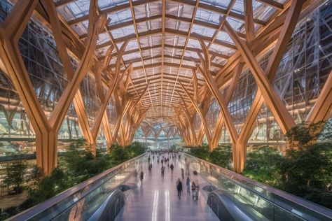 Futuristic Wooden Architecture, Futuristic Supermarket, Resort Design Plan, Architecture Journal, Hotel Design Architecture, Dreamscape Architecture, Pavilion Architecture, Airport Design, Wooden Architecture