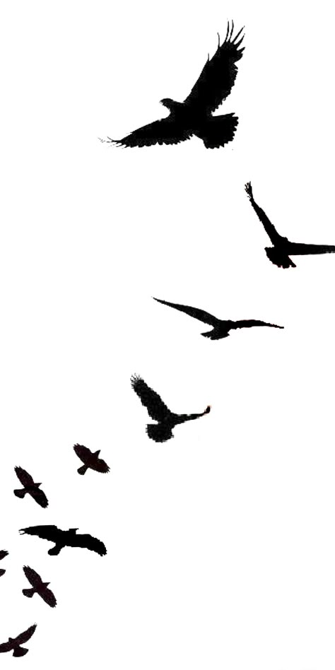 Blacked Out Bird Tattoos, Bird In Flight Silhouette, Flying Bird Tattoo Men, Birds In Flight Tattoo, Black Birds Tattoo, Bird Tattoo Black, Black Birds Flying, Birds Tattoo Design, Flight Drawing