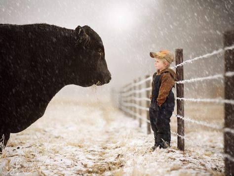 “ kingxen: “ The Agreement (color) by shadenfeldt1 ” ” Future Farms, Farm Kids, Country Kids, Black Cow, Ranch Life, Country Farm, Jolie Photo, Pics Art, Country Life