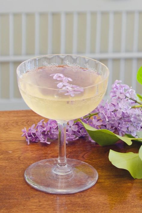 Lilac Cocktail, Lilac Party, Colour Of The Year 2022, 21st Bday Party, Eating Flowers, Brown Liquor, Simple Syrup Cocktails, Craft Cocktail Recipe, Drink Garnishing