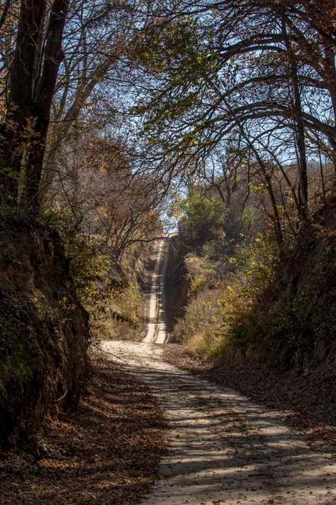 Iowa Road Trip - Sophies Hollow in Monona County, Iowa... Loess Hills Iowa, Iowa Aesthetic, Iowa Road Trip, Iowa Travel, Iowa City, Story Board, City Aesthetic, Usa Travel, Magical Places