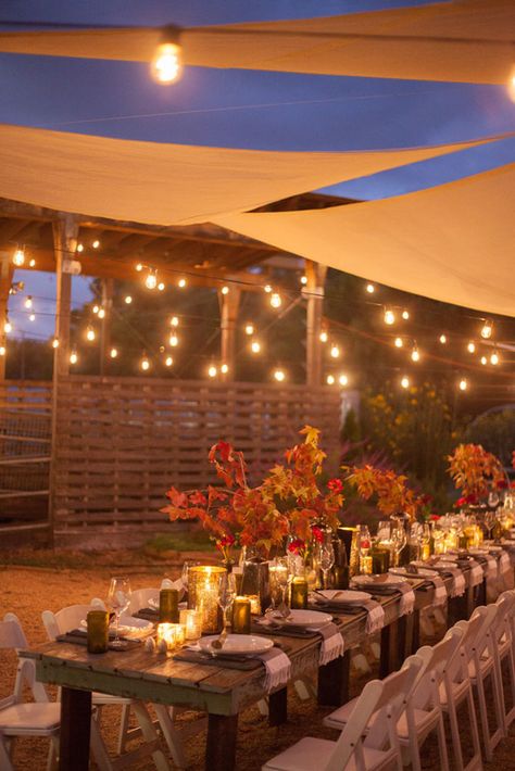 Outdoor farm feast in Birmingham Thanksgiving Dinner Outside, Thanksgiving Outside Table, Autumn Theme Party, Outdoor Fall Parties, Rustic Thanksgiving Table, Thanksgiving Decorations Outdoor, Outdoor Thanksgiving, Fall Harvest Party, Fall Farm