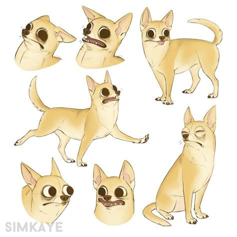 Dog Illustration Design, Stylized Dog, Dogs Animated, Dog Character Design, Chihuahua Drawing, Artsy Doodles, Dog Illustration Art, Character Exploration, Pets Illustration