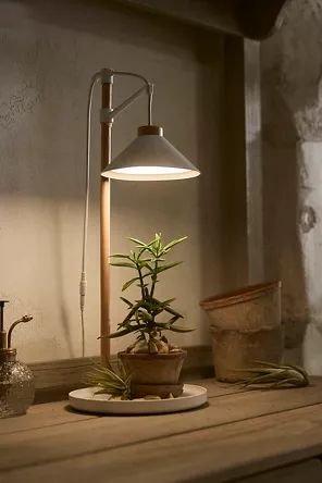 Basket | Terrain Tabletop Lamp, Cute Plants, Outdoor Interior, Grow Lamps, Planting Tools, Lantern String Lights, Grow Lights For Plants, Table Top Lamps, Home Plants